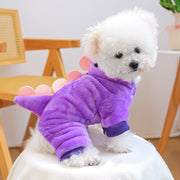 Drage-kostyme til Kjæledyr