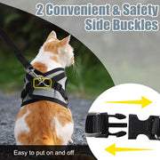 Katt- og Hundebåndsett