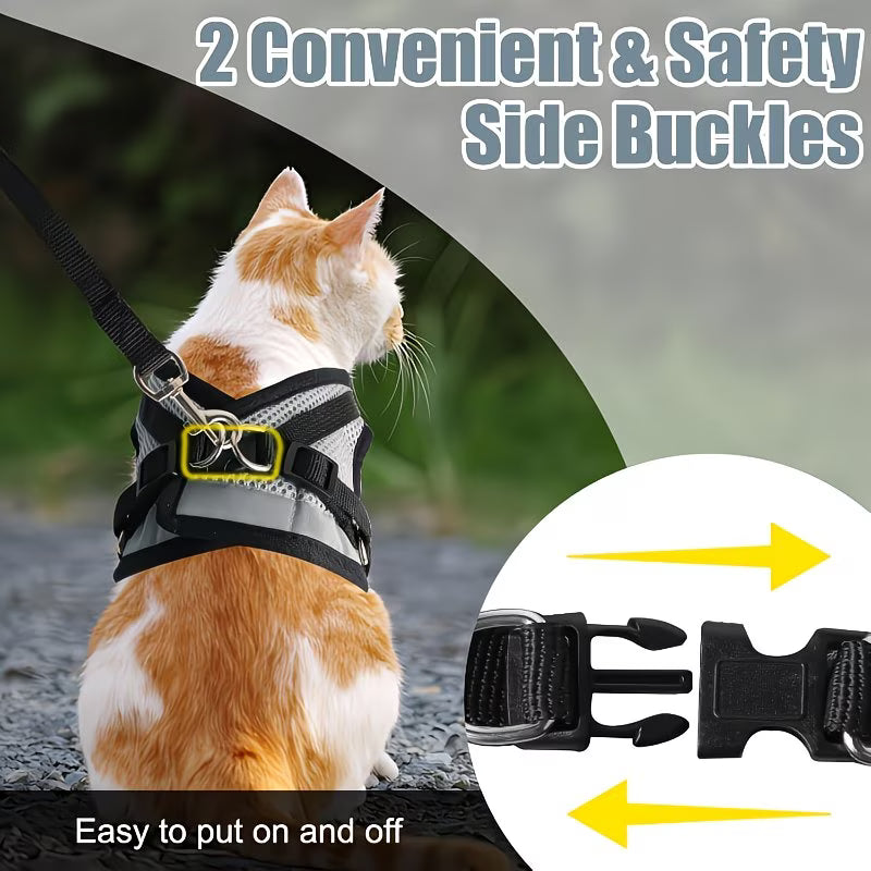 Katt- og Hundebåndsett