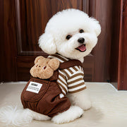 Søt teddy vinterjakke til Hund