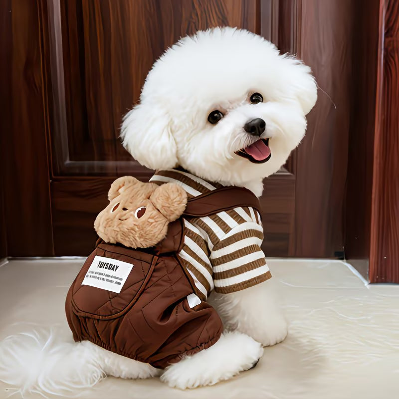 Søt teddy vinterjakke til Hund